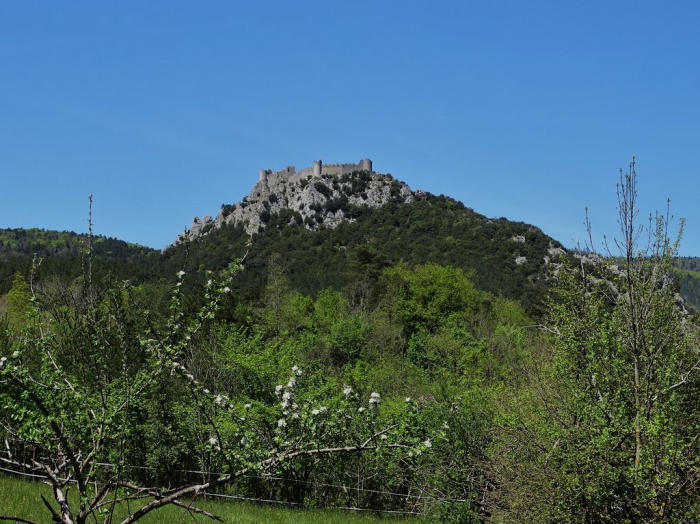 Zamek Puilaurens